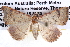  ( - BIOUG12057-G12)  @13 [ ] CreativeCommons - Attribution (2014) CBG Photography Group Centre for Biodiversity Genomics