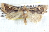  ( - BIOUG12058-A02)  @14 [ ] CreativeCommons - Attribution (2014) CBG Photography Group Centre for Biodiversity Genomics