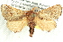  ( - BIOUG12058-B01)  @11 [ ] CreativeCommons - Attribution (2014) CBG Photography Group Centre for Biodiversity Genomics