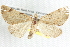  ( - BIOUG12058-B02)  @14 [ ] CreativeCommons - Attribution (2014) CBG Photography Group Centre for Biodiversity Genomics