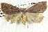  ( - BIOUG12058-C07)  @13 [ ] CreativeCommons - Attribution (2014) CBG Photography Group Centre for Biodiversity Genomics
