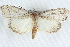  ( - BIOUG12058-C11)  @12 [ ] CreativeCommons - Attribution (2014) CBG Photography Group Centre for Biodiversity Genomics