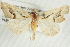 ( - BIOUG12058-D01)  @14 [ ] CreativeCommons - Attribution (2014) CBG Photography Group Centre for Biodiversity Genomics