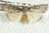  ( - BIOUG12058-D05)  @14 [ ] CreativeCommons - Attribution (2014) CBG Photography Group Centre for Biodiversity Genomics