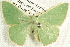  ( - BIOUG12058-G08)  @13 [ ] CreativeCommons - Attribution (2014) CBG Photography Group Centre for Biodiversity Genomics