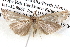  ( - BIOUG12059-E05)  @13 [ ] CreativeCommons - Attribution (2014) CBG Photography Group Centre for Biodiversity Genomics