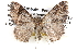  ( - BIOUG12059-E10)  @15 [ ] CreativeCommons - Attribution (2014) CBG Photography Group Centre for Biodiversity Genomics