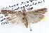 ( - BIOUG12059-F01)  @14 [ ] CreativeCommons - Attribution (2014) CBG Photography Group Centre for Biodiversity Genomics