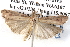  ( - BIOUG12059-G02)  @14 [ ] CreativeCommons - Attribution (2014) CBG Photography Group Centre for Biodiversity Genomics