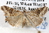  ( - BIOUG12059-H06)  @14 [ ] CreativeCommons - Attribution (2014) CBG Photography Group Centre for Biodiversity Genomics