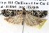  ( - BIOUG12059-H07)  @15 [ ] CreativeCommons - Attribution (2014) CBG Photography Group Centre for Biodiversity Genomics