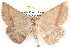  ( - BIOUG12060-G08)  @15 [ ] CreativeCommons - Attribution (2014) CBG Photography Group Centre for Biodiversity Genomics