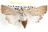  ( - BIOUG12060-H05)  @13 [ ] CreativeCommons - Attribution (2014) CBG Photography Group Centre for Biodiversity Genomics