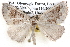  ( - BIOUG12061-B10)  @13 [ ] CreativeCommons - Attribution (2014) CBG Photography Group Centre for Biodiversity Genomics