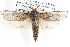  ( - BIOUG12061-C08)  @15 [ ] CreativeCommons - Attribution (2014) CBG Photography Group Centre for Biodiversity Genomics