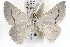  ( - BIOUG12061-D07)  @14 [ ] CreativeCommons - Attribution (2014) CBG Photography Group Centre for Biodiversity Genomics