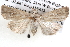  ( - BIOUG12061-G05)  @14 [ ] CreativeCommons - Attribution (2014) CBG Photography Group Centre for Biodiversity Genomics