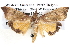  ( - BIOUG12061-H02)  @14 [ ] CreativeCommons - Attribution (2014) CBG Photography Group Centre for Biodiversity Genomics