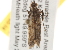  ( - BIOUG13741-A03)  @12 [ ] CreativeCommons - Attribution (2014) CBG Photography Group Centre for Biodiversity Genomics