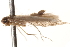  ( - BIOUG13742-D02)  @13 [ ] CreativeCommons - Attribution (2014) CBG Photography Group Centre for Biodiversity Genomics