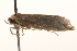  ( - BIOUG13742-D08)  @13 [ ] CreativeCommons - Attribution (2014) CBG Photography Group Centre for Biodiversity Genomics