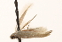  ( - BIOUG13742-G07)  @12 [ ] CreativeCommons - Attribution (2014) CBG Photography Group Centre for Biodiversity Genomics
