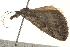  ( - BIOUG13743-C02)  @12 [ ] CreativeCommons - Attribution (2014) CBG Photography Group Centre for Biodiversity Genomics