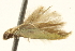  ( - BIOUG13743-G07)  @12 [ ] CreativeCommons - Attribution (2014) CBG Photography Group Centre for Biodiversity Genomics