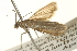  ( - BIOUG13743-H09)  @13 [ ] CreativeCommons - Attribution (2014) CBG Photography Group Centre for Biodiversity Genomics