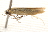  ( - BIOUG13744-C12)  @12 [ ] CreativeCommons - Attribution (2014) CBG Photography Group Centre for Biodiversity Genomics
