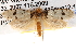  ( - BIOUG13745-A05)  @14 [ ] CreativeCommons - Attribution (2014) CBG Photography Group Centre for Biodiversity Genomics