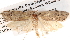  ( - BIOUG13745-A06)  @12 [ ] CreativeCommons - Attribution (2014) CBG Photography Group Centre for Biodiversity Genomics