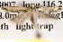  ( - BIOUG13745-D03)  @13 [ ] CreativeCommons - Attribution (2014) CBG Photography Group Centre for Biodiversity Genomics