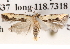  ( - BIOUG13745-D05)  @13 [ ] CreativeCommons - Attribution (2014) CBG Photography Group Centre for Biodiversity Genomics
