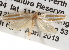  ( - BIOUG13745-E06)  @12 [ ] CreativeCommons - Attribution (2014) CBG Photography Group Centre for Biodiversity Genomics
