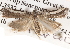  ( - BIOUG13745-E07)  @12 [ ] CreativeCommons - Attribution (2014) CBG Photography Group Centre for Biodiversity Genomics