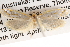 ( - BIOUG13745-F11)  @13 [ ] CreativeCommons - Attribution (2014) CBG Photography Group Centre for Biodiversity Genomics