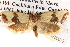  ( - BIOUG13745-G06)  @14 [ ] CreativeCommons - Attribution (2014) CBG Photography Group Centre for Biodiversity Genomics