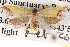  ( - BIOUG13746-A05)  @12 [ ] CreativeCommons - Attribution (2014) CBG Photography Group Centre for Biodiversity Genomics