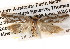  ( - BIOUG13746-B11)  @13 [ ] CreativeCommons - Attribution (2014) CBG Photography Group Centre for Biodiversity Genomics