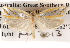  ( - BIOUG13746-C04)  @13 [ ] CreativeCommons - Attribution (2014) CBG Photography Group Centre for Biodiversity Genomics