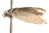  ( - BIOUG13746-G12)  @12 [ ] CreativeCommons - Attribution (2014) CBG Photography Group Centre for Biodiversity Genomics