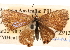  ( - BIOUG14241-A11)  @13 [ ] CreativeCommons - Attribution (2014) CBG Photography Group Centre for Biodiversity Genomics