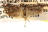  ( - BIOUG14241-E09)  @13 [ ] CreativeCommons - Attribution (2014) CBG Photography Group Centre for Biodiversity Genomics