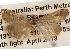  ( - BIOUG14241-F06)  @13 [ ] CreativeCommons - Attribution (2014) CBG Photography Group Centre for Biodiversity Genomics