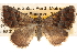  ( - BIOUG14242-A11)  @14 [ ] CreativeCommons - Attribution (2014) CBG Photography Group Centre for Biodiversity Genomics