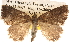  ( - BIOUG14242-B07)  @13 [ ] CreativeCommons - Attribution (2014) CBG Photography Group Centre for Biodiversity Genomics