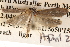  ( - BIOUG14242-H01)  @12 [ ] CreativeCommons - Attribution (2014) CBG Photography Group Centre for Biodiversity Genomics