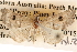  ( - BIOUG14242-H02)  @13 [ ] CreativeCommons - Attribution (2014) CBG Photography Group Centre for Biodiversity Genomics