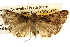  ( - BIOUG14243-A02)  @14 [ ] CreativeCommons - Attribution (2014) CBG Photography Group Centre for Biodiversity Genomics
